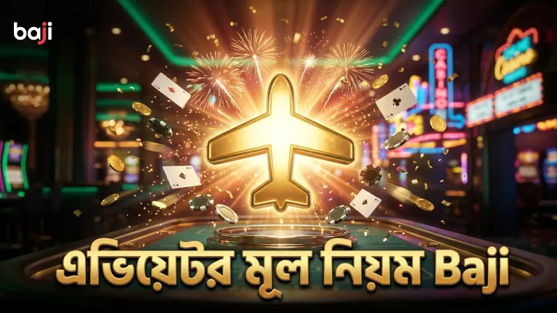 এভিয়েটর গেমের মূল নিয়ম বুঝে খেলোয়াড়ের লাভ বৃদ্ধি হয়